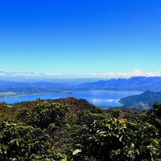 Honduras: Pre-Harvest Report