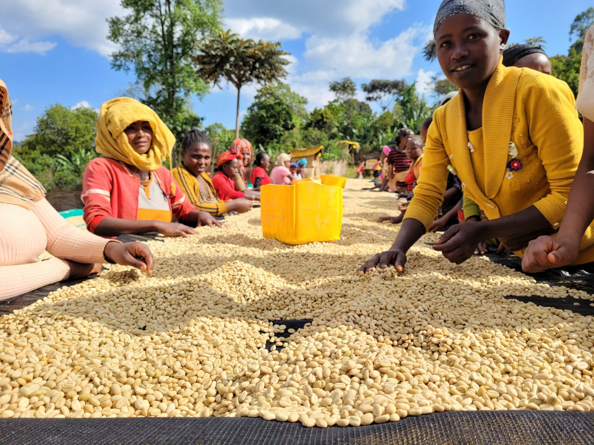 Lucky Peach Espresso