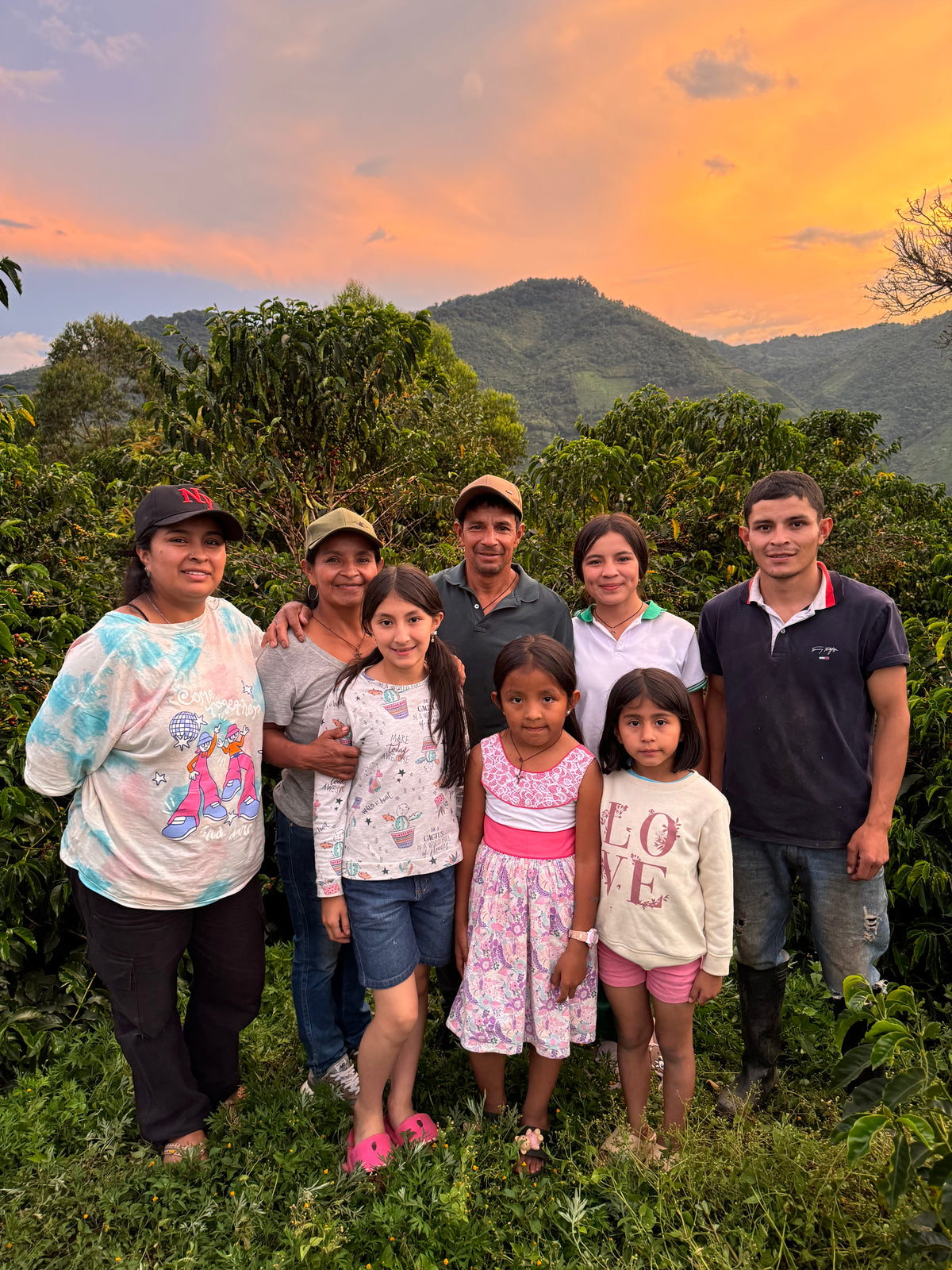 Jose Joaquin Bolaños Double Fermented Washed Geisha