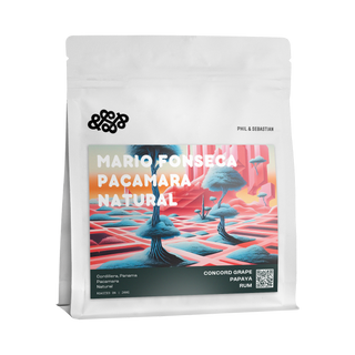 Mario Fonseca Pacamara Natural