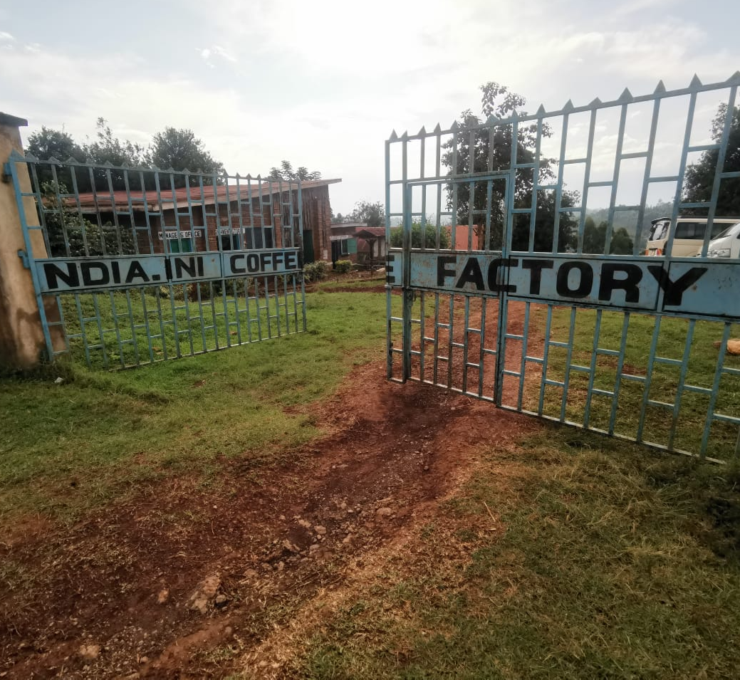 Ndia-ini AA Grade