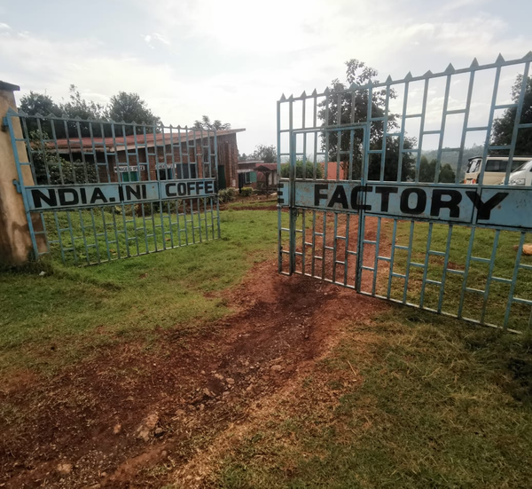 Ndia-ini AA Grade
