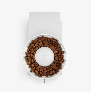 FELLOW Opus Conical Burr Grinder